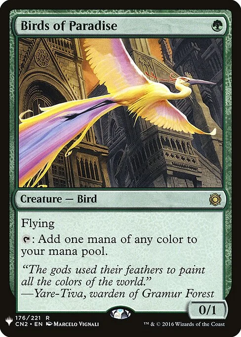 Birds of Paradise — PLST CN2-176